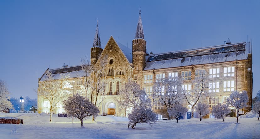 NTNU image